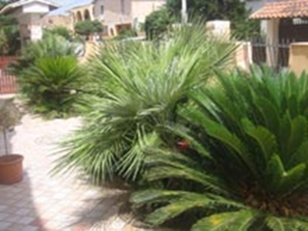 B&B Villa Olimpo Le Torri Αγκριτζέντο Εξωτερικό φωτογραφία